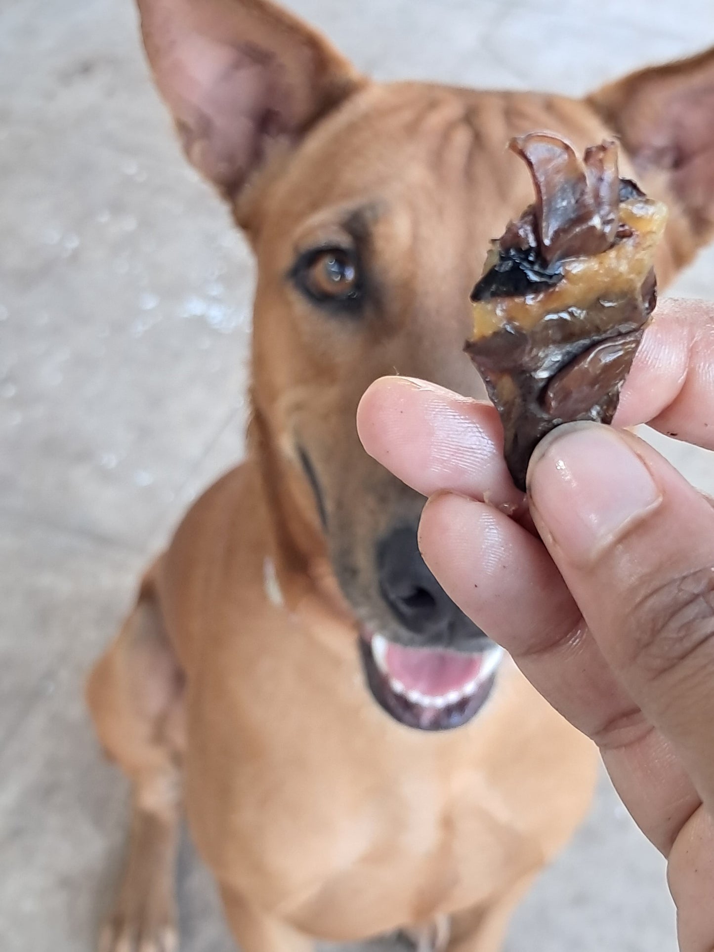 Raw Treat - Dehydrated Chicken Heart