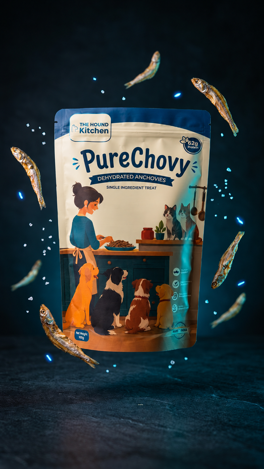 PureChovy - Dried Anchovies for dogs and cats